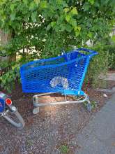 Bild zu gemeldetem Anliegen vom *2025-04-28 16:02:52