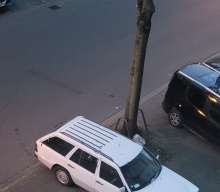 Bild zu gemeldetem Anliegen vom *2025-04-12 20:44:22