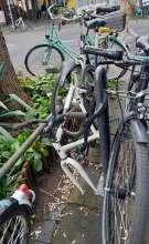 Bild zu gemeldetem Anliegen vom *2025-04-13 19:10:51