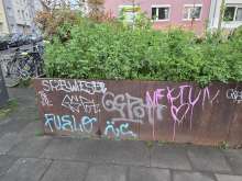 Bild zu gemeldetem Anliegen vom *2025-04-13 21:36:03