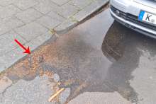 Bild zu gemeldetem Anliegen vom *2025-04-18 13:17:13