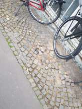 Bild zu gemeldetem Anliegen vom *2025-04-18 18:56:19