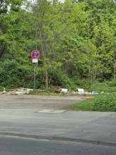 Bild zu gemeldetem Anliegen vom *2025-04-22 17:18:28