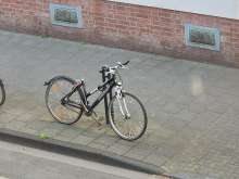 Bild zu gemeldetem Anliegen vom *2025-04-07 15:27:53