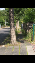 Wie soll man diesen Gehweg nutzen?
