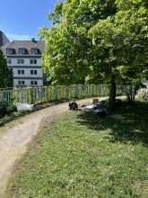Bild zu gemeldetem Anliegen vom *2025-04-27 09:28:06