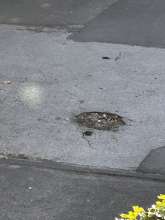 Bild zu gemeldetem Anliegen vom *2025-04-07 15:27:53