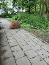 Bild zu gemeldetem Anliegen vom *2025-04-21 12:33:48