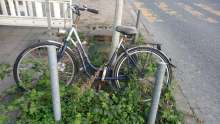Bild zu gemeldetem Anliegen vom *2025-04-06 18:34:10