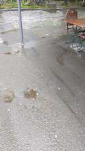 Bild zu gemeldetem Anliegen vom *2025-04-24 12:28:06