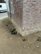 Bild zu gemeldetem Anliegen vom *2025-04-17 18:29:02