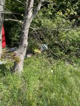 Bild zu gemeldetem Anliegen vom *2025-04-20 13:11:59