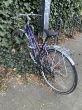 Bild zu gemeldetem Anliegen vom *2025-04-09 20:55:07