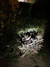 Bild zu gemeldetem Anliegen vom *2025-04-11 01:42:42