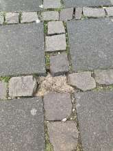 Bild zu gemeldetem Anliegen vom *2025-04-08 12:31:46