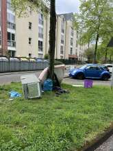 Bild zu gemeldetem Anliegen vom *2025-04-18 12:27:23