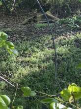 Bild zu gemeldetem Anliegen vom *2025-04-13 06:30:41