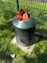 Bild zu gemeldetem Anliegen vom *2025-04-29 12:28:26