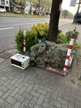 Bild zu gemeldetem Anliegen vom *2025-04-13 18:32:41