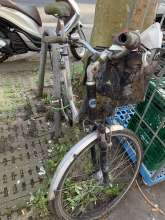 Bild zu gemeldetem Anliegen vom *2025-04-14 06:33:43