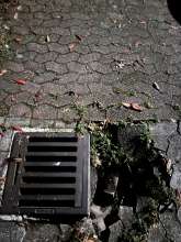 Bild zu gemeldetem Anliegen vom *2025-04-22 01:28:24