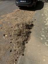 Bild zu gemeldetem Anliegen vom *2025-04-12 12:35:20