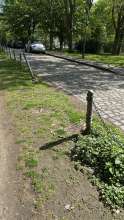 Bild zu gemeldetem Anliegen vom *2025-04-21 23:52:30
