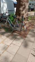 Bild zu gemeldetem Anliegen vom *2025-04-20 09:36:32