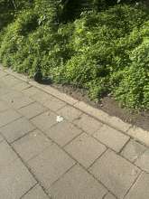 Bild zu gemeldetem Anliegen vom *2025-04-27 09:37:20