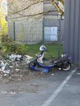 Bild zu gemeldetem Anliegen vom *2025-04-07 15:27:53