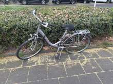 Bild zu gemeldetem Anliegen vom *2025-04-13 09:29:43