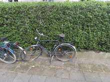 Bild zu gemeldetem Anliegen vom *2025-04-13 15:21:40