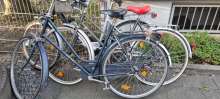 Bild zu gemeldetem Anliegen vom *2025-04-01 19:20:44