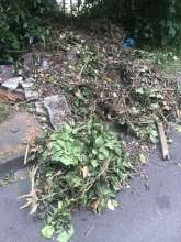 Gartenabfälle und Bauschutt;  *2025-05-23 15:29:37