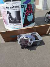Bild zu gemeldetem Anliegen vom *2025-05-20 13:52:06
