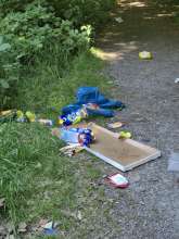 Bild zu gemeldetem Anliegen vom *2025-05-19 15:30:52