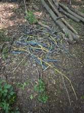 Bild zu gemeldetem Anliegen vom *2025-05-19 17:13:50