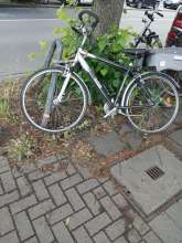 Bild zu gemeldetem Anliegen vom *2025-05-27 06:59:16