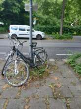 Bild zu gemeldetem Anliegen vom *2025-05-27 20:34:43