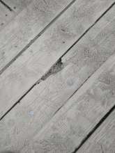 Beschädigung Holzdeck