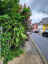 Bild zu gemeldetem Anliegen vom *2025-05-24 12:35:56