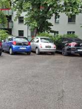 Bild zu gemeldetem Anliegen vom *2025-05-25 12:28:16