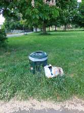 Bild zu gemeldetem Anliegen vom *2025-05-15 14:38:46