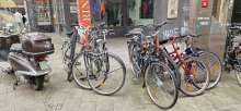 Bild zu gemeldetem Anliegen vom *2025-05-17 12:36:21