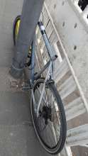 Bild zu gemeldetem Anliegen vom *2025-05-26 09:33:25