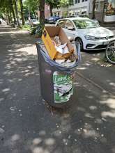 Bild zu gemeldetem Anliegen vom *2025-05-14 12:28:13