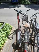 Bild zu gemeldetem Anliegen vom *2025-05-19 12:29:08