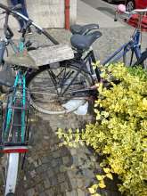 Bild zu gemeldetem Anliegen vom *2025-05-23 09:34:23