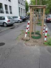 Bild zu gemeldetem Anliegen vom *2025-05-27 10:33:04