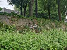 Bild zu gemeldetem Anliegen vom *2025-05-18 10:46:47